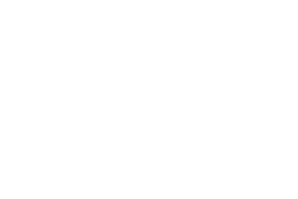 Charlotte Logo designed by Authnik Brand Alliance in Charlotte