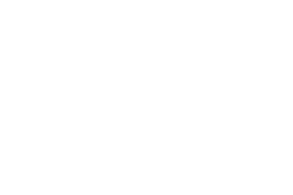 Authnik Brand Alliance Round Flag Logo